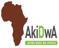 AkiDwA – the network of migrant women  holds its annual networking meeting of migrant professional